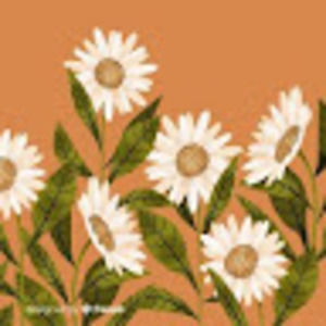 Meet your Posher, Ragya